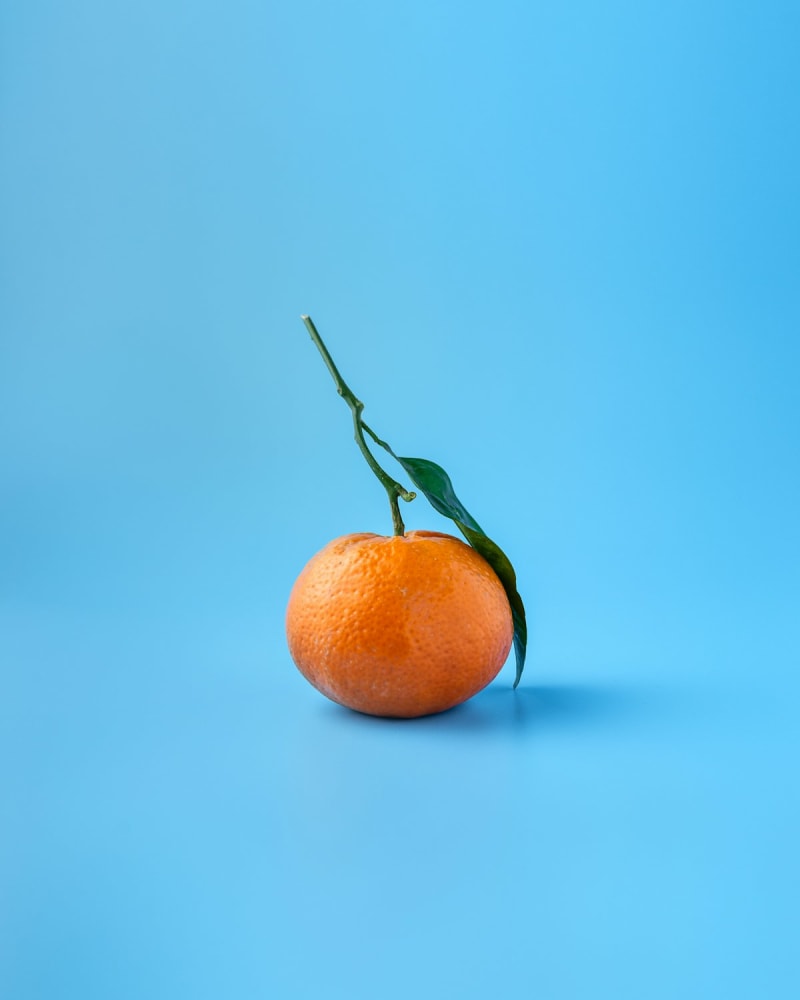 Citrus fruit still life on a coloured backdrop